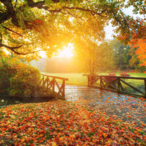 Meditation: Feuertanz und Schöpferkraft