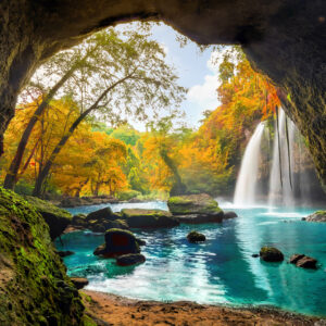 Meditation: Zauberwald der Gefühle